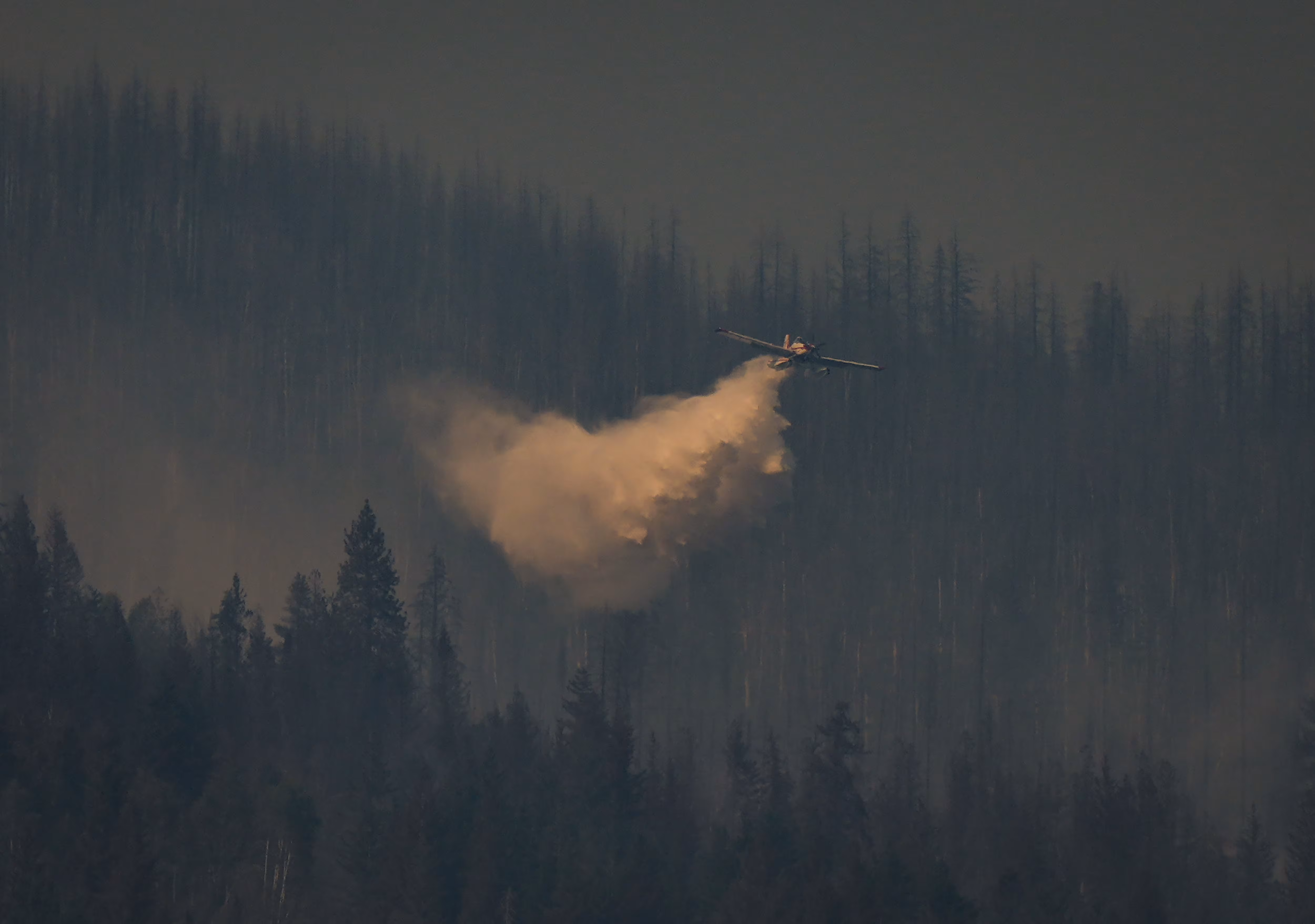Canada Needs 60 Water Bombers to Fight Wildfires, Ford Declares in Major National Push