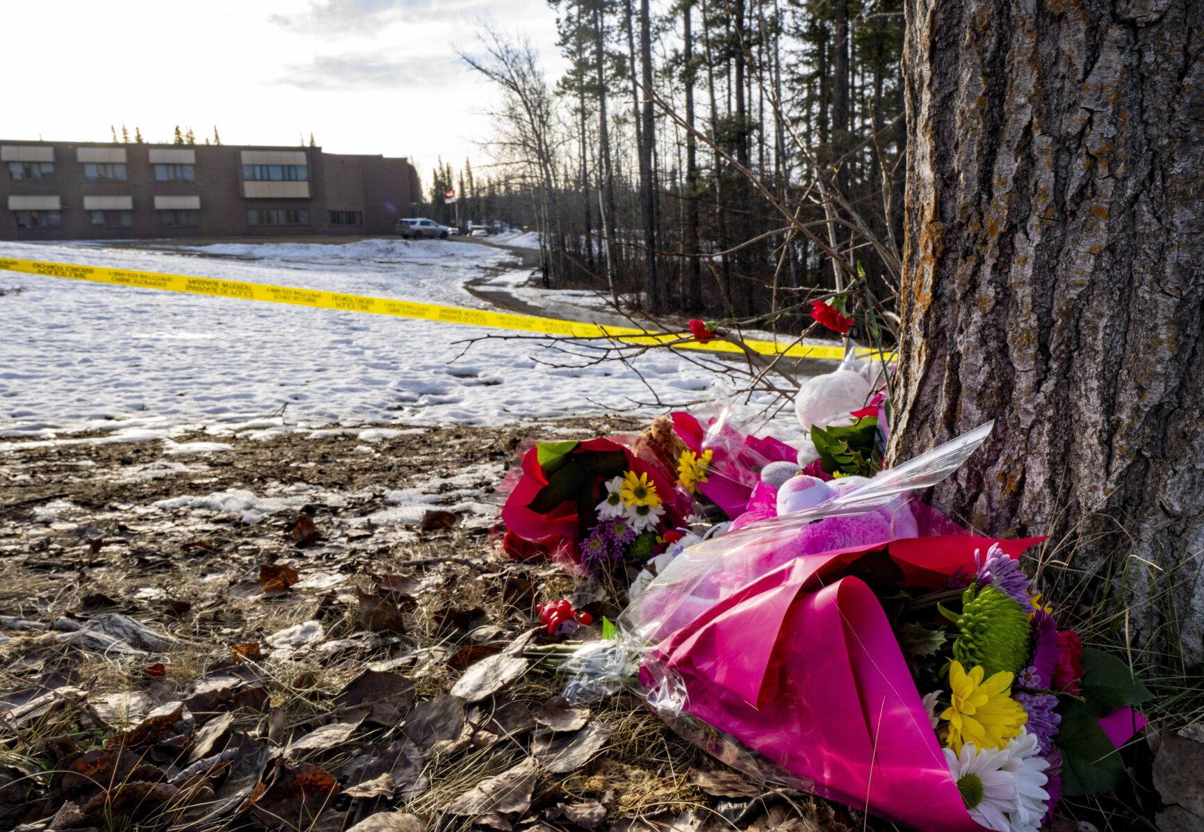 OpenAI CEO Apologizes for Failing to Alert Police Before Tumbler Ridge Shooting