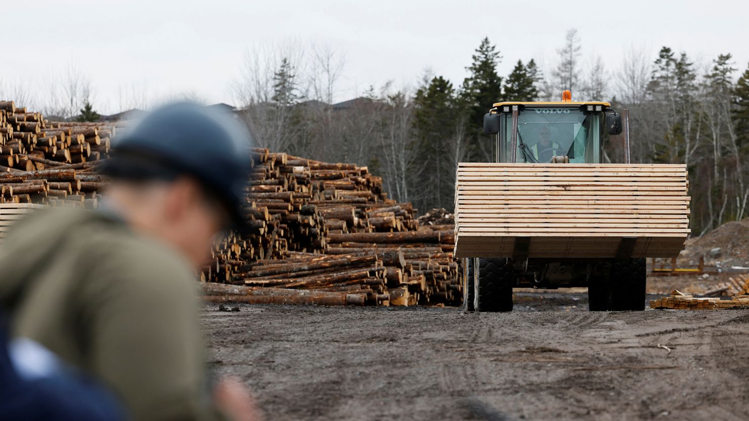 U.S. Softwood Tariffs May Drop, But Canada's Lumber Industry Warns Victory Could Be Illusory