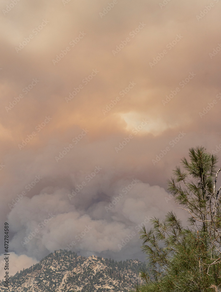 Western U.S. Heat Dome Triggers Early Fire Season Warning for North America